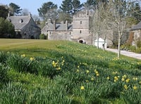 Plans to make Cotehele more accessible