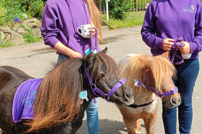 Chamaine Blamey (right) owner of Collytown Therapy Ponies visits Tavistock Memory Cafe at Mount Kelly College.