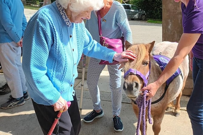 Pam with Collytown Therapy Pony Thumbelina as the animals make a special visit to Tavistock Memory Cafe at Mount Kelly College.