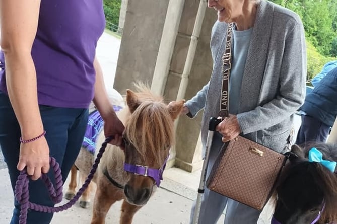 Jean enjoying meeting a Collytown Therapy Pony at Tavistock memory Cafe in Mount Kelly College..