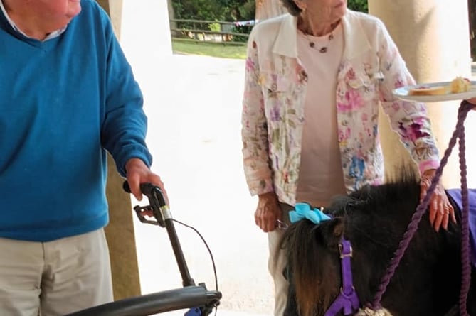 Janet and Graham with Collytown Therapy Ponies with Tavistock Memory Cafe at Mount Kelly College.