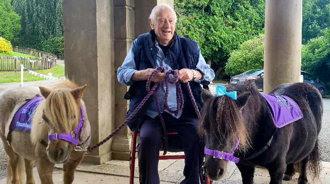 David with Collytown Therapy Miniature Shetlands at Tavistock Memory Cafe in Mount Kelly College