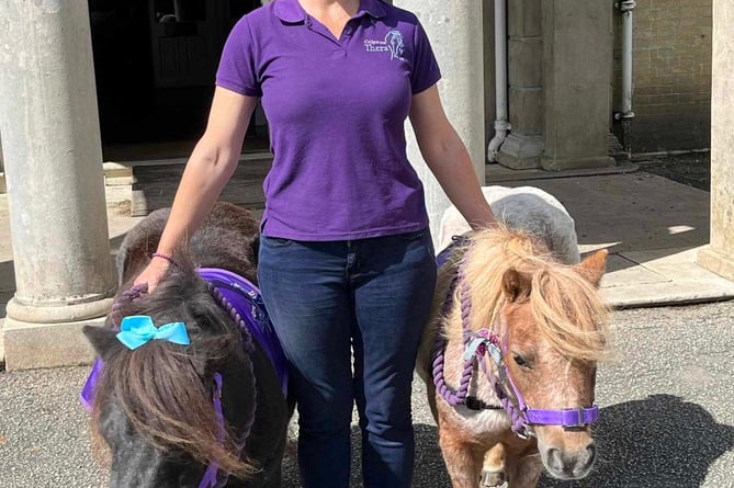 Chamaine Blamey brings her Collytown Therapy Ponies Mai and Thumbelina to Tavistock  Memory Cafe.