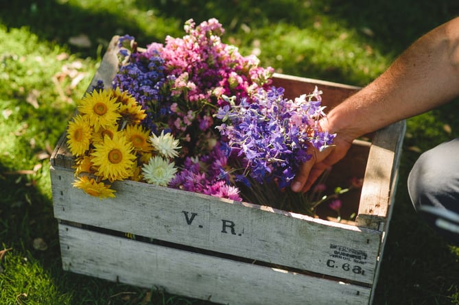 The flowers up close - they are dried before being woven into the garland