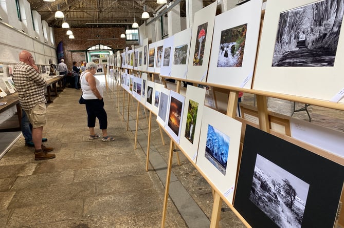 Admiring visitors at Tavistock Photography Club's summer show