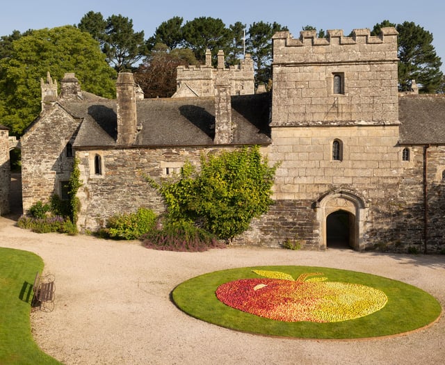 Cotehele apple weekender kicks off National Trust apple celebrations