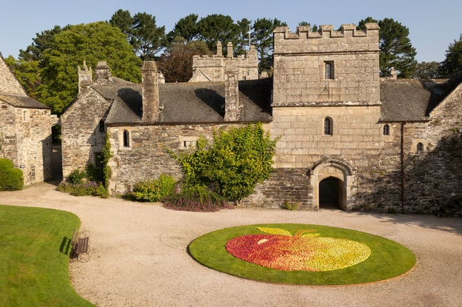 A giant apple mosaic created as part of the annual harvest celebrations at Cotehele, Cornwall