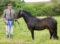 Woofs and neighs at friendly moorland show 