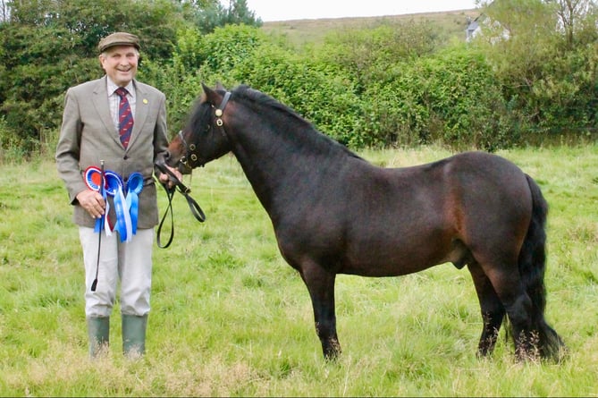 Keith Locke with his Supreme Champion  stallion Treworgan Top Shot