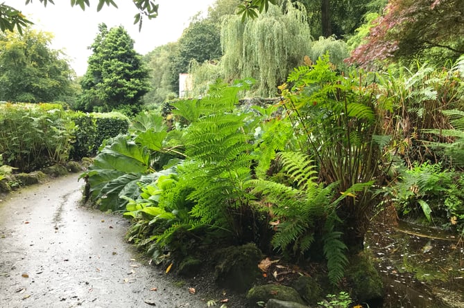 The booklet helps children explore nature in the park