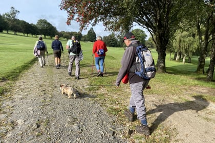 West Devon cycling and walking survey