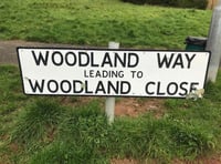 Autumn action day plans refresh for Woodland Way in Gunnislake 