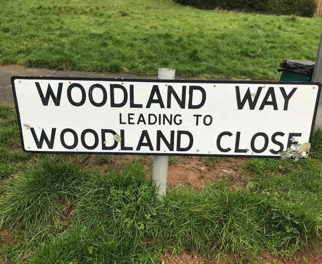 Autumn action day plans refresh for Woodland Way in Gunnislake 