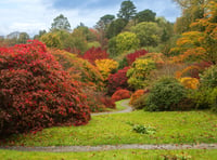 Autumn puts on a show at The Garden House