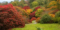 Autumn puts on a show at The Garden House