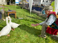 Tavistock Goose Fair is buzzing 