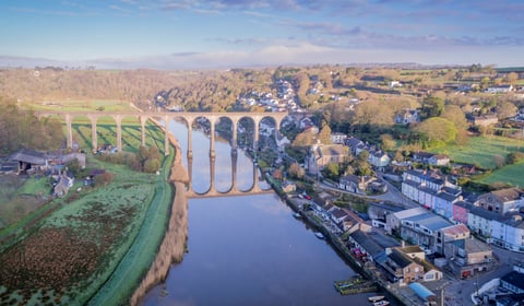 Family fun at the Tamar Valley River Festival 