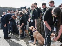 Fingerprints, fridge cake and friendly dogs steal show at royal visit