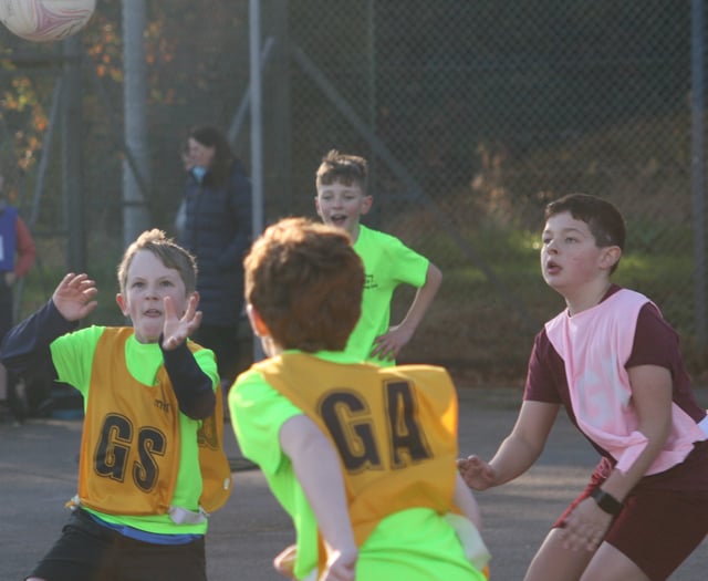 Tavistock primary schools' netball