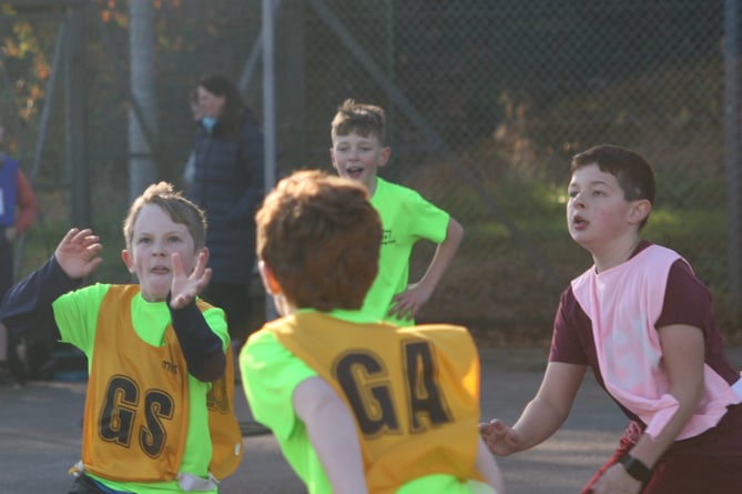 Keeping an eye on the ball at the Tavistock area schools netball tournament.