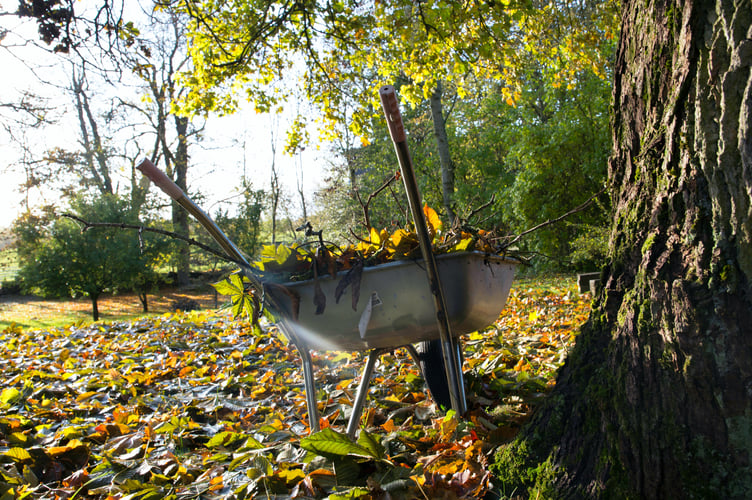 Garden waste collection fees could be rising in West Devon