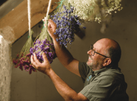 Giant Christmas garland takes shape