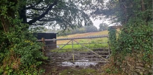 Planners throw out Tamar Valley hedge removal plan for fifth time