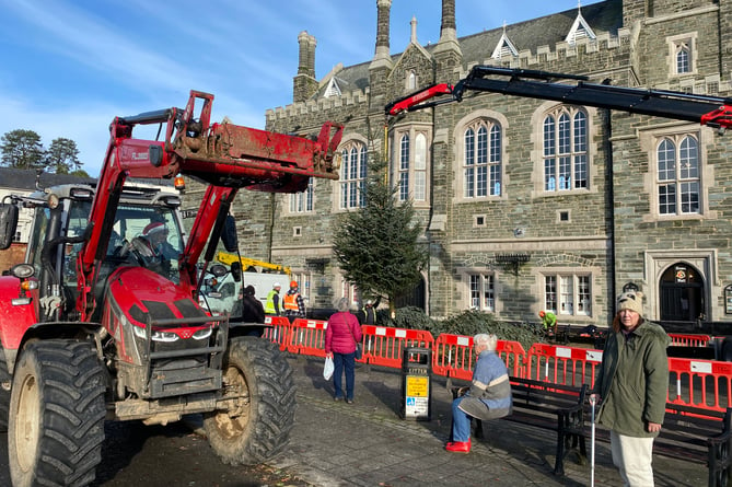 Tavistock Lions' Christmas Trees of Light take their place on the town hall.