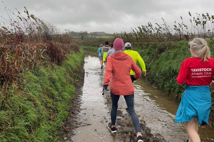 Tavy pace group out and about