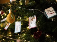 Christmas Tree Festival coming to Callington