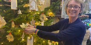 Christmas tree festival success