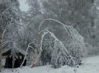 'Heartbreaking' damage to charity garden after storm