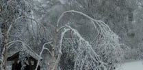 'Heartbreaking' damage to charity garden after storm