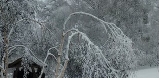 'Heartbreaking' damage to charity garden after storm