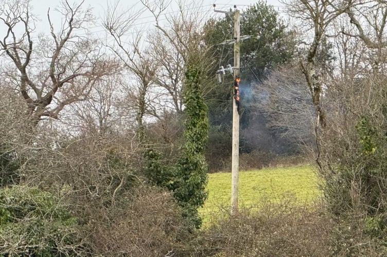 This pole carrying power lines caught alight