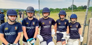 Cricket club nets appeal