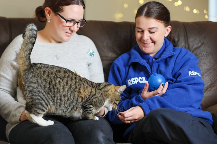 Freya, a cat rescued at Christmas 2022 in Manchester found a new forever home after being found abandoned in a rubbish-strewn home, weighing just 1.1kg. (Picture: RSPCA)