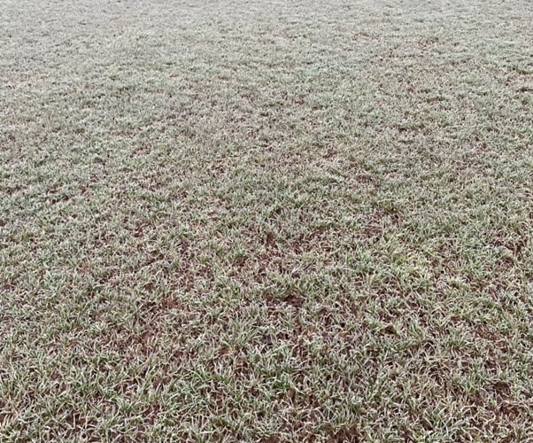 Alphington AFC frozen pitch