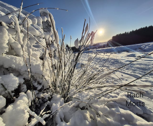 In pictures: snow on Dartmoor