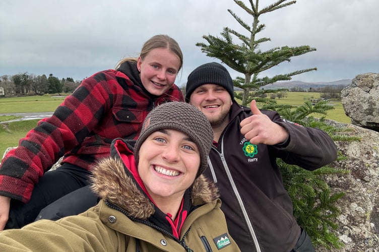 Young farmers Katie Murrin, Laura Westcott and Harry Ball out collecting Christmas trees