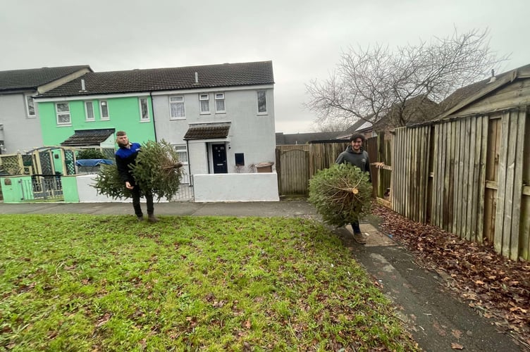 Young farmers Aiden Weeks and Jack Cann collecting Christmas trees