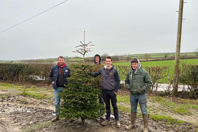 Tavistock Young Farmers' Club members Tim Westcott, Josh Sleep, Nicholas Hill and Harry Reddicliffe