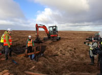 Dartmoor peatland project on TV 