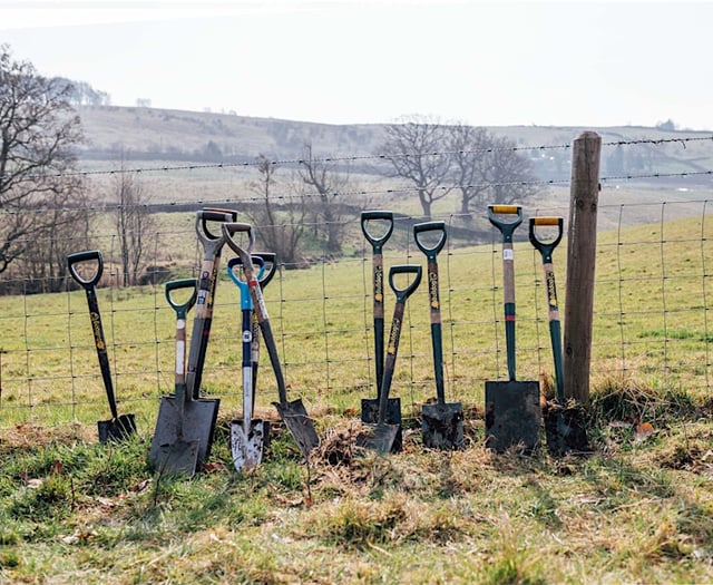 Volunteers needed to help create new woodland site