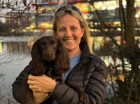 Dog takes first Crufts in her stride