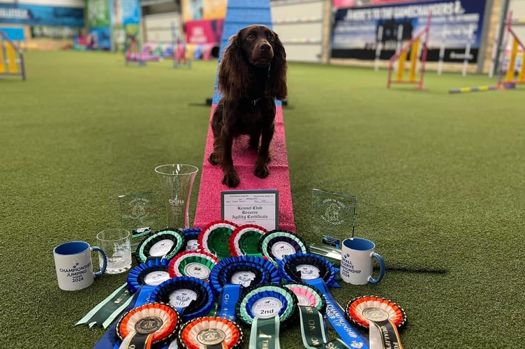 Wild with some of her many qualifying class prizes to reach  Crufts.