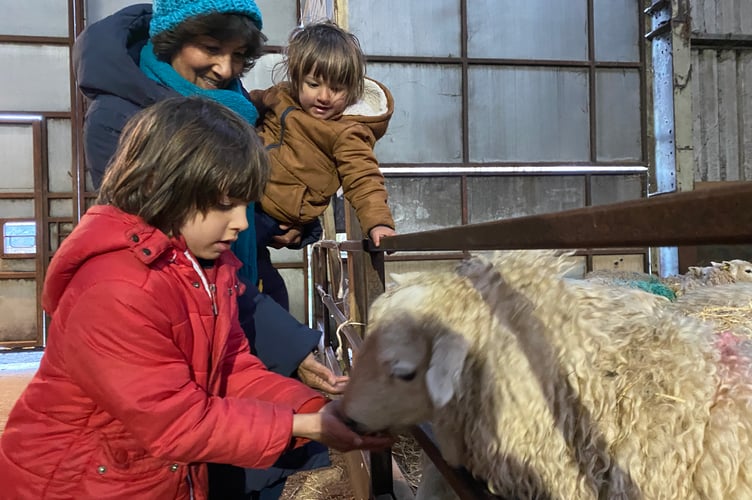 May Gillham with grandchildren  Etienne, age 7, and Luca Style, age 2, feeding the sheep.